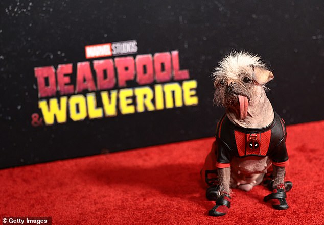 Peggy de Hond is present at the "Deadpool and Wolverine" Premiere in New York