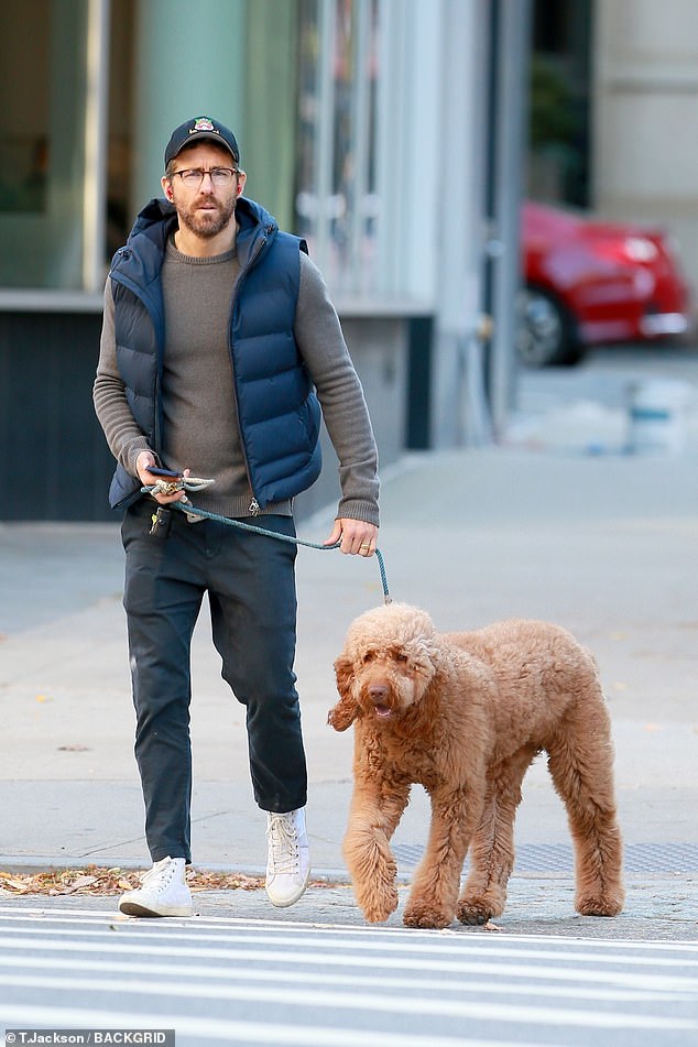 Despite being a fan of big, furry dogs - as evidenced by the many dogs he and Blake Lively have owned - he knew he wanted to act with Peggy, the ugliest dog (not pictured)