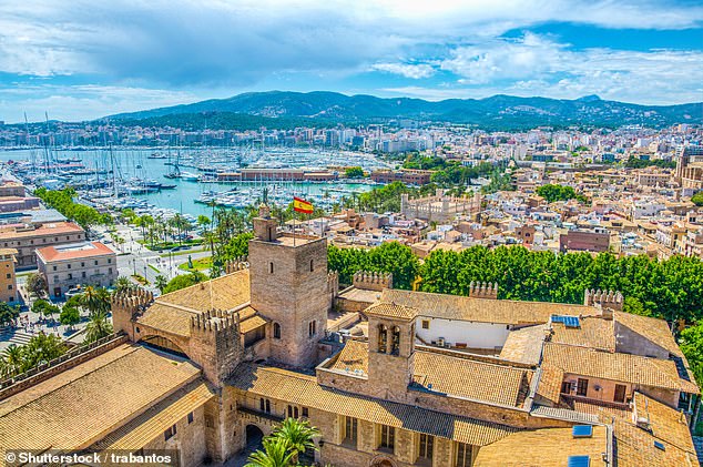 The trainee lawyer had initially planned to visit a friend in Palma, Mallorca, and later decided to extend his stay. Pictured: A stock photo of Palma de Mallorca