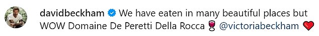 David shared the loved-up photo on Instagram, writing: 'We've eaten at many beautiful places but WOW Domaine De Peretti Della Rocca'