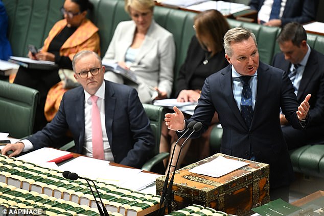 Fordham criticised Albanese (left) for failing to deliver on his promise to cut energy bills by $275 and also took aim at Australia's Climate Change and Energy Minister Chris Bowen (right) for 'demonising' coal-fired power stations