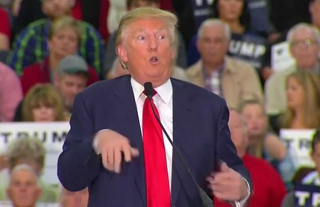 Trump has a long history of almost constantly hurling personal insults at political opponents and others in almost every speech or interview, including mocking a disabled man (pictured)