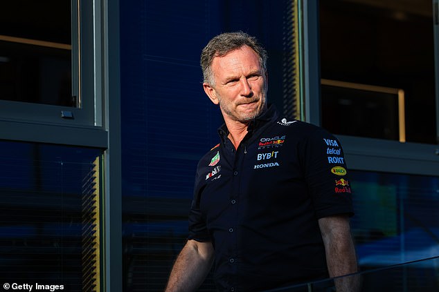 Red Bull boss Christian Horner defended Verstappen, insisting his team trusted the Dutchman