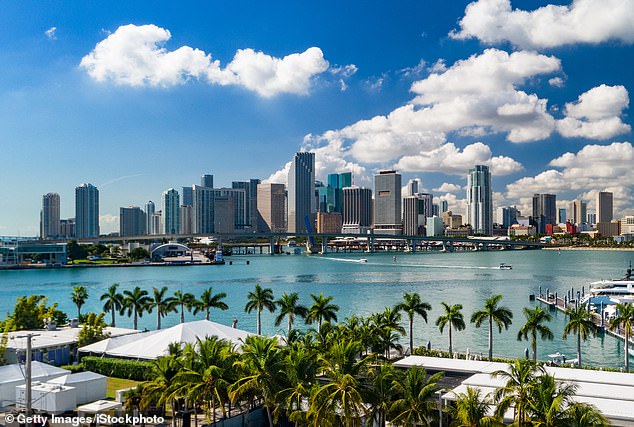 A low, elevated view of the Downtown Miami skyline with palm trees and Biscayne Bay in the foreground