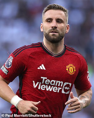 Shaw (pictured) struggled for playing time last season due to a hamstring injury