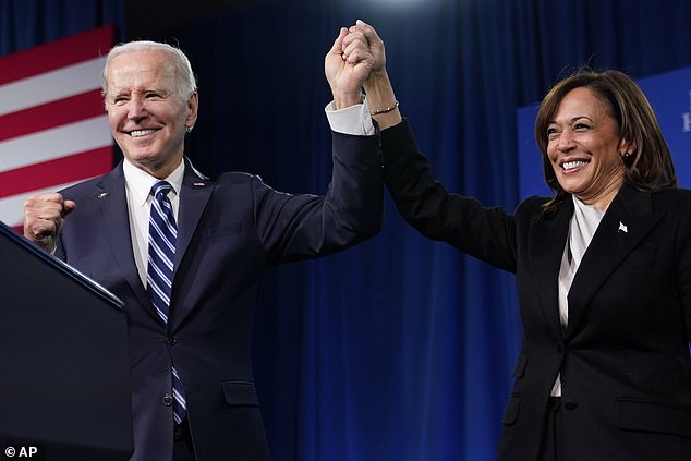 Kamala Harris' previous experience made her more than qualified for selection and promotion to her role as vice president for Mr Biden, writes Dan Hodges