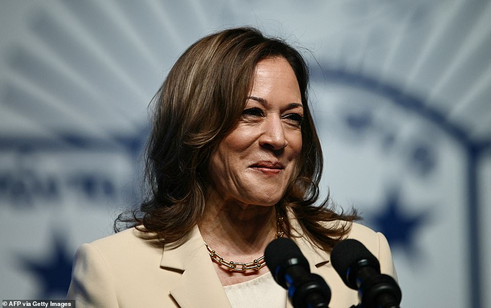 “Right now, our nation needs your leadership again,” she told the crowd. “Right now, I think we’re faced with a choice between two different visions for our nation, one focused on the future, the other focused on the past.” Harris also touched on the conservative Project 2025, which Democrats have warned will be implemented if Trump is re-elected.