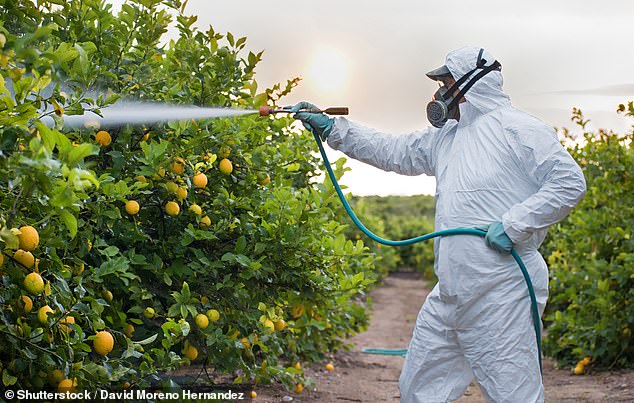 Common pesticides such as glyphosate have been linked to developmental delays, blood cancer, organ damage, respiratory problems, ovarian and prostate cancer, and reproductive problems.