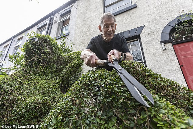 Mr. Tyssen has been shaping and pruning Gloria outside his home for many years