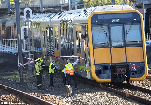 Emergency services and police inspect the scene of the train crash in southern Sydney