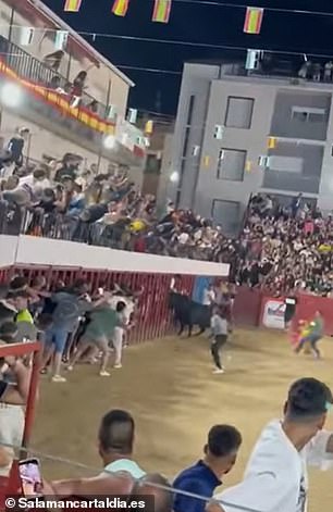 The man, a waiter from Coria, challenged the bull that was charging at him and threw him into the air by stabbing his horn twice into the man's backside