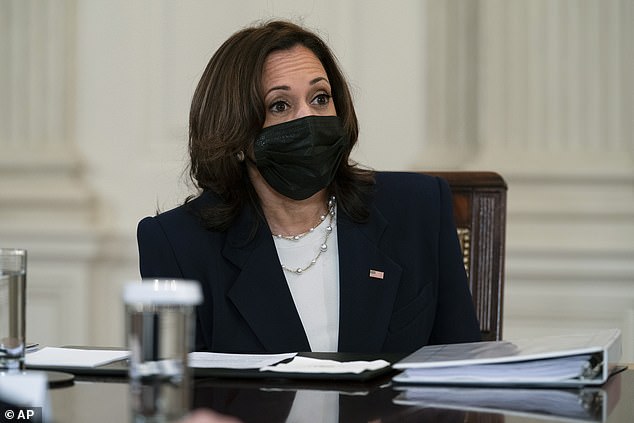 Vice President Kamala Harris speaks about the southern border during a meeting with President Joe Biden