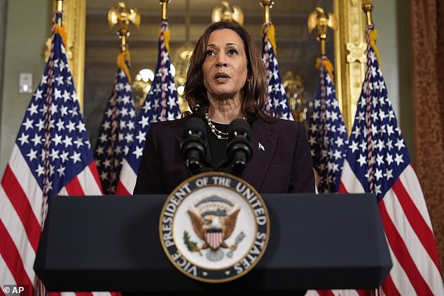 Harris made rare comments after meeting with a world leader as she expanded her role in the White House and on the campaign trail this week as the Democrats' likely presidential nominee