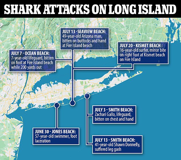 1721977083 846 Alarming increase of sharks in these East Coast waters has