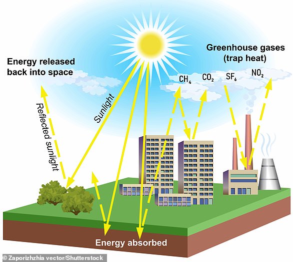 Without the natural greenhouse effect, heat would flow from the Earth’s surface into space, making it too cold to support life. But the release of gases like carbon dioxide and methane pushes the greenhouse effect too far, acting as a blanket that traps heat.