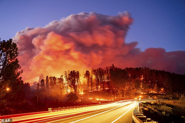 A combination of a cold front moving across the province and several days of dry, warm weather created the perfect conditions for the fire tornado