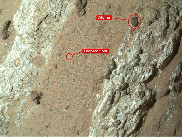 The leopard spots could be signs of ancient life. The olivine could be related to rocks formed further along the river valley edge, possibly produced by crystallization of magma