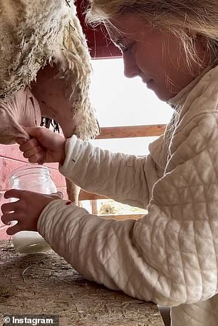 Hannah's Instagram feed is filled with snaps of the blonde beauty baking fresh sourdough bread, tending to livestock or dancing around her rustic kitchen with her kids