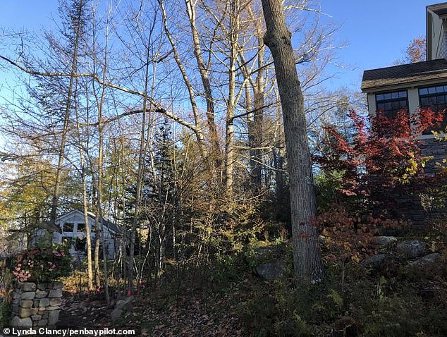 Gorman's house (left) is down the slope from Bond's house (right)