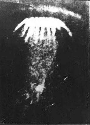 This squid was spotted in Russia in 1977 (MUFON)