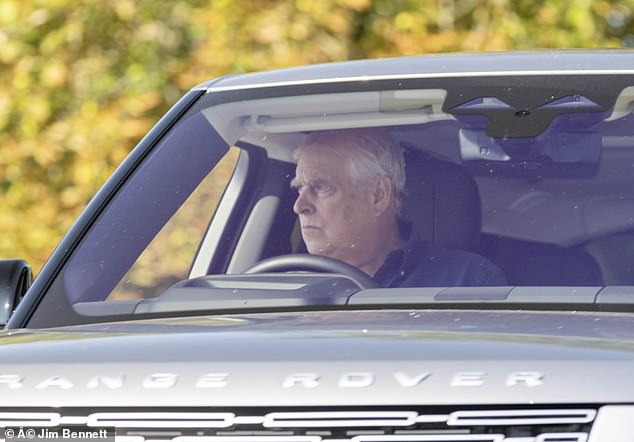 The royal was also photographed behind the wheel of his Range Rover, with an expression that suggested he was deep in thought