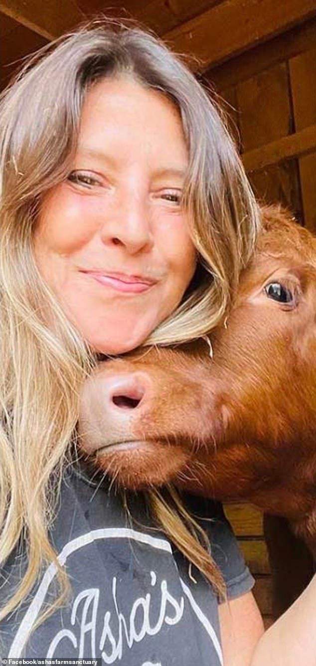 Animal rights activist Tracy Murphy refused to return the cows after they stumbled onto her property, sparking anger from the local community