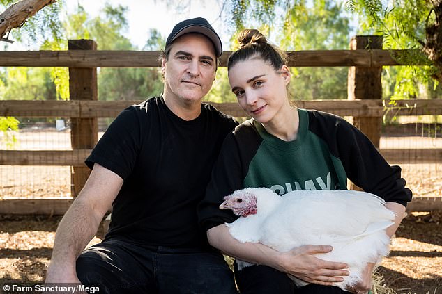 Actor Joaquin Phoenix, a famous vegan, even weighed in because he mistakenly believed Murphy named the cows after him