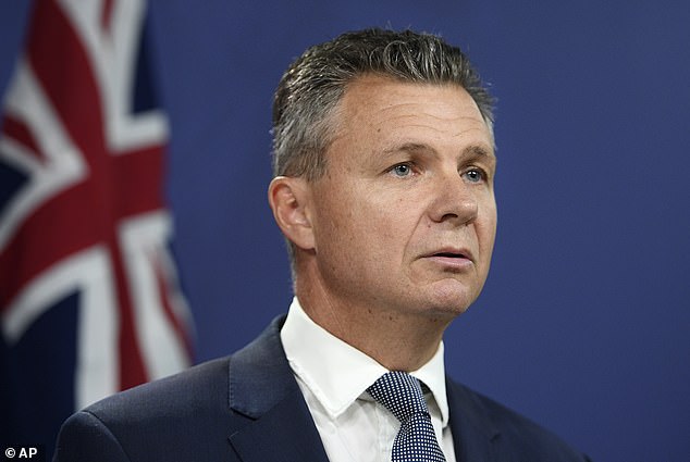 As part of the cabinet reshuffle announced on Sunday, Albanese scrapped the Assistant Ministry for the Republic and moved former Assistant Minister for the Republic, Matt Thistlethwaite (pictured), to a different portfolio.