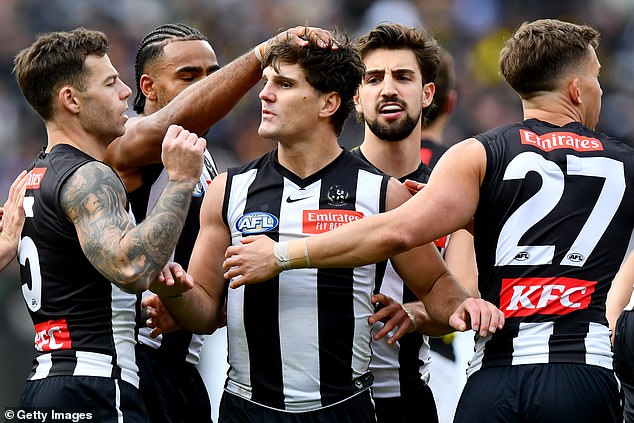 Collingwood beat Richmond but fans were concerned about the bird's welfare