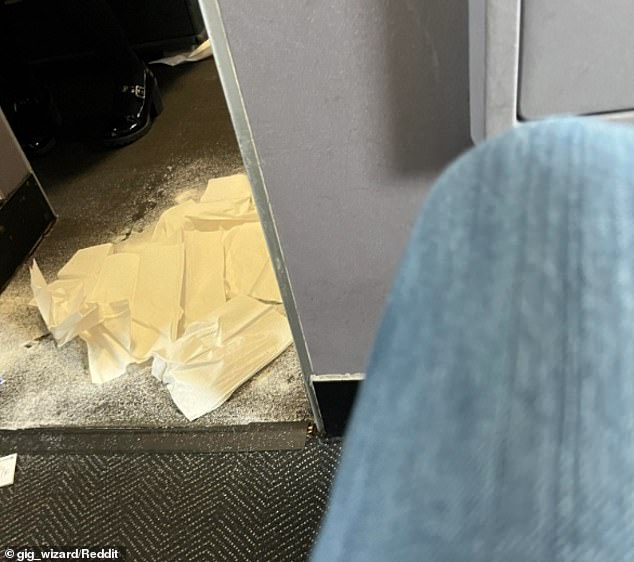 A United Airlines flight had to be diverted after a dog relieved itself in the aisle of the plane - just outside the first class toilet, a spokesperson confirmed to the Daily Mail