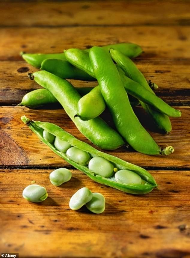 Broad beans are packed with protein, fiber, iron and vitamin C