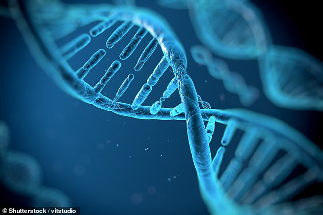 DNA methylation tests show how much special molecules called methyl groups have attached to the DNA in your cells. These have been described as barnacles attaching to the hull of a ship and slowing it down