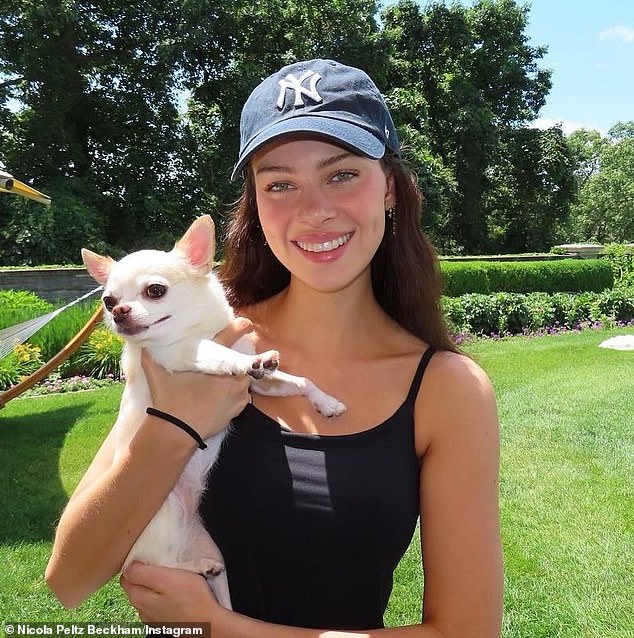 Nicola Peltz prepares for legal action against dog groomer after sudden death of her Chihuahua Nala