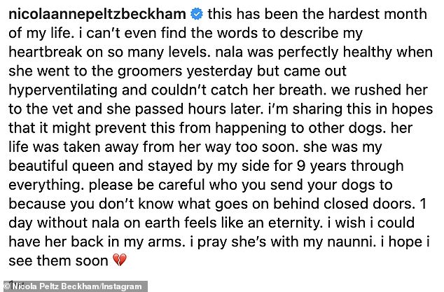 However, when Nicola picked Nala up and noticed the dog was 'hyperventilating and unable to breathe', she immediately took her to an emergency vet, but the dog tragically passed away a few hours later