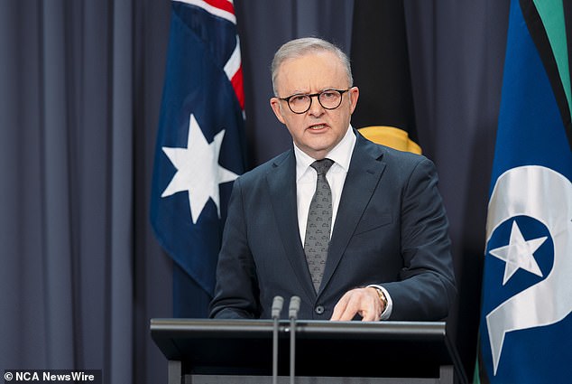 Ms Karvelas claimed that one of the few people in Canberra who knew she was a lesbian was current Prime Minister Anthony Albanese (pictured), who was known to be 'quite pro-gay'.