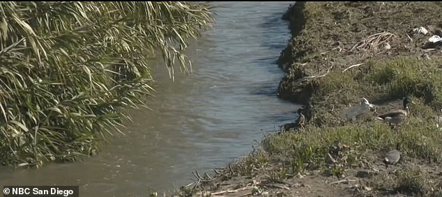 Experts say it is caused by Tijuana's broken infrastructure as the city continues to pump sewage to the California side of the border.