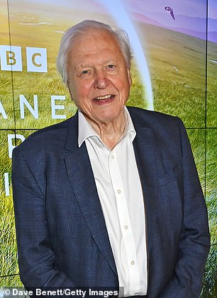 Kyle Sandilands has revealed the reason behind his bizarre feud with beloved biologist Sir David Attenborough