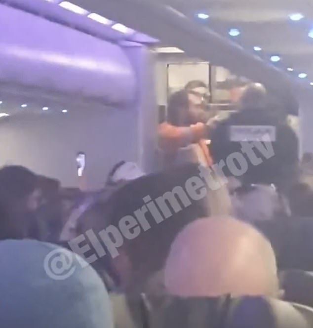 The man was arrested as soon as the plane landed in Nantes, and the woman was led off the plane by medics and police officers so she could be treated for her injuries.