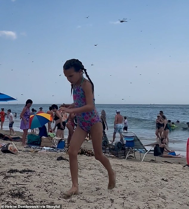 Some beachgoers were heard screaming as a cloud of insects engulfed Misquamicut State Beach in Westerly on Saturday, while others laughed at the scene