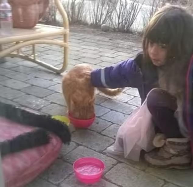 A photo from Emilia's childhood shows her gently petting a cat while wearing a pink dress