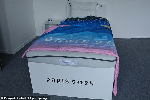 They also all come with these standard cardboard beds, which cause a painful night's sleep