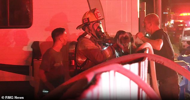 A member of the Los Angeles Fire Department heroically emerged from the burning building and handed Cheetah to her owner