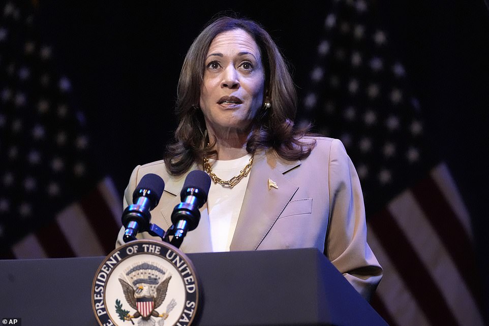 With Harris and Trump now facing off, the professor believes the race is now effectively open. But he noted that Democrats could have avoided further fallout by throwing the party overwhelmingly behind Harris rather than launching a chaotic open primary or allowing other presidential candidates to jump into the race at this late stage.