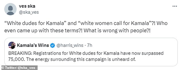 1722297365 626 Dystopian White women for Kamala meeting is likened to Black