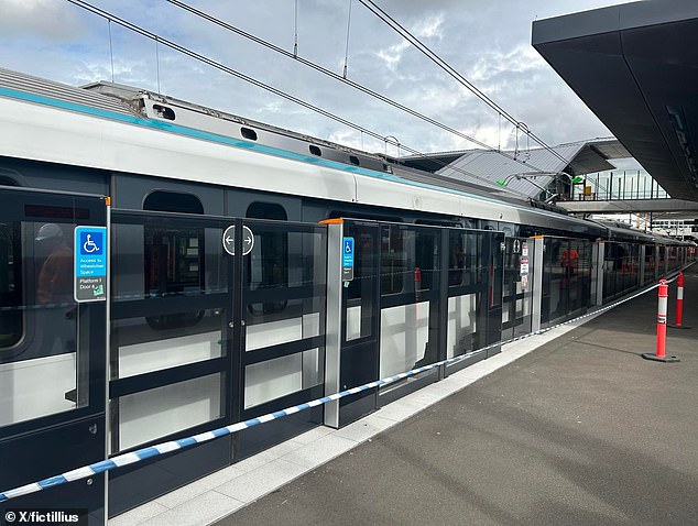 Rail Safety 101 Michael Maartensz said passenger doors with screens (pictured) are the 'ultimate solution' to prevent fatal accidents at train stations