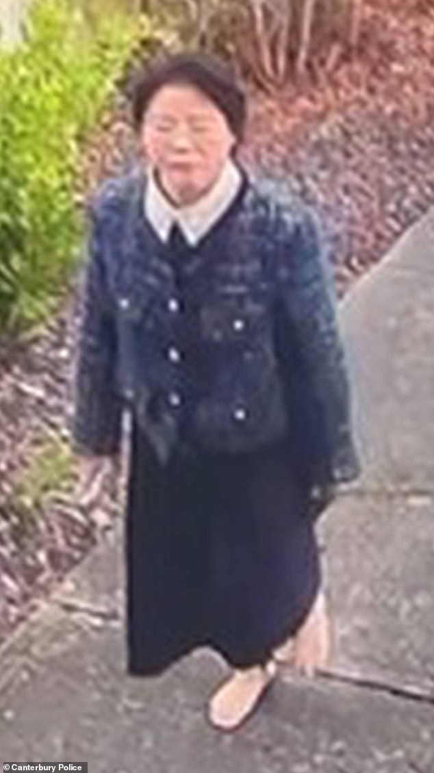 The Chinese national was last seen in the western Christchurch suburb of Hornby at 10am on the day of her disappearance (pictured)