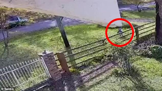 CCTV shows Xavier running away from the family home in search of kangaroos