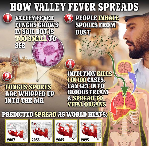 Valley fever is caused by the fungus Coccidioides, which releases spores into the air when the soil is disturbed, which are then inhaled by humans