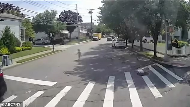 Cars raced down the street as the boy ran, his parents not following him