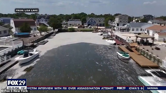 The lagoon is flooded with tens of thousands of dead fish